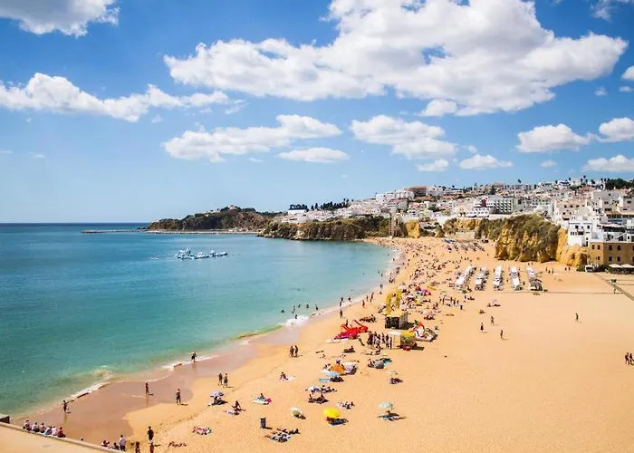 New! Perfect With Swimming Pool 아파트